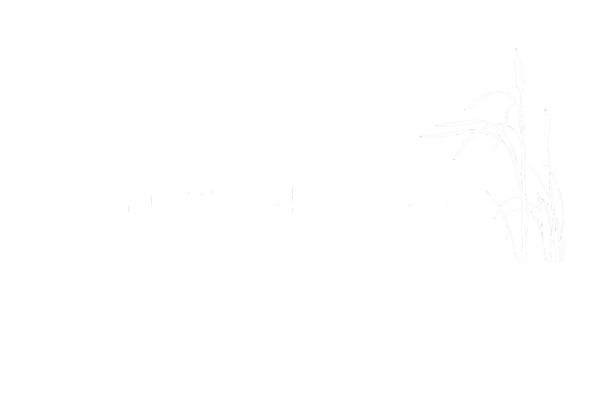 transparent lodge