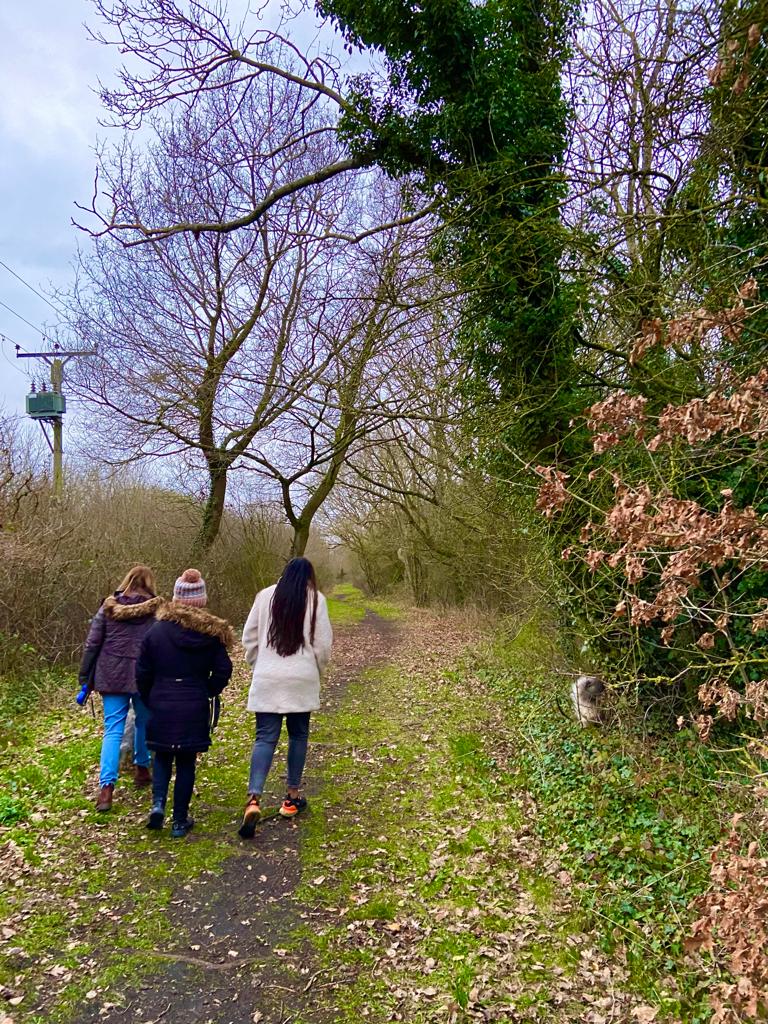 people walking on a forest trail in one of our lodges in York