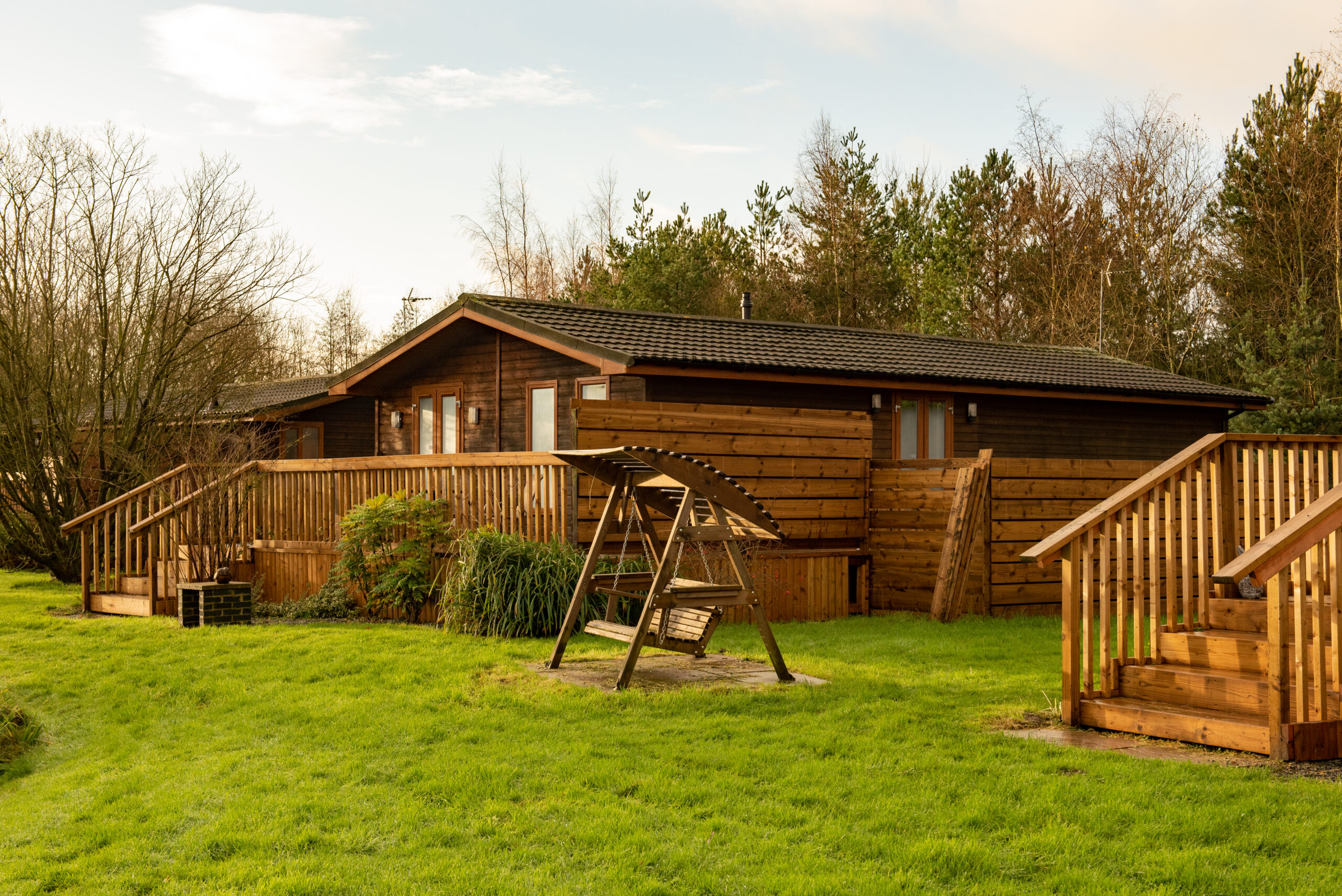 still rabbit lodges in the sun